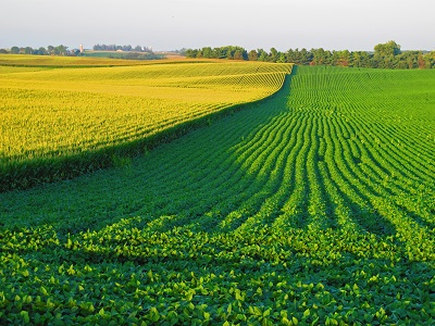 image of farm in north carolina